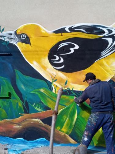 Foto de Seba pintando su mural